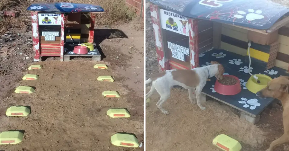 Un hombre fabrica “restaurante” para perros callejeros