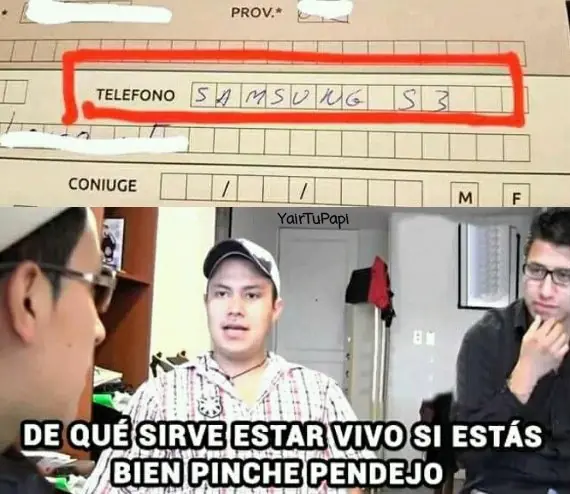 MEMES