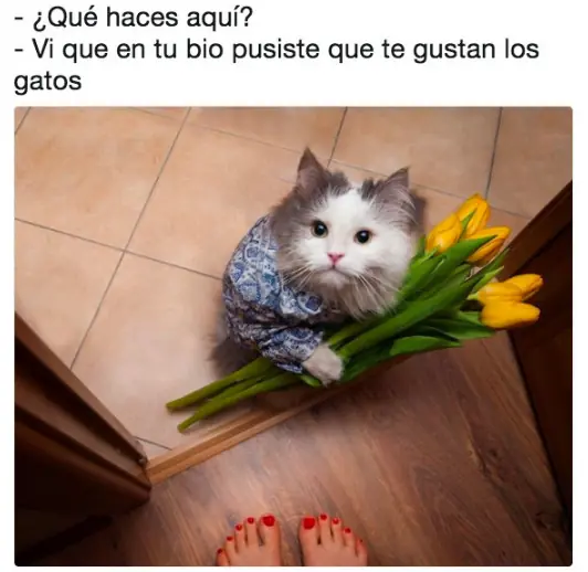 Humor ignorante: para gozar de reír hoy domingo..