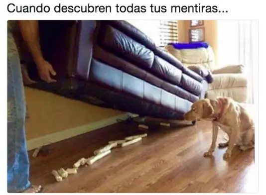humor