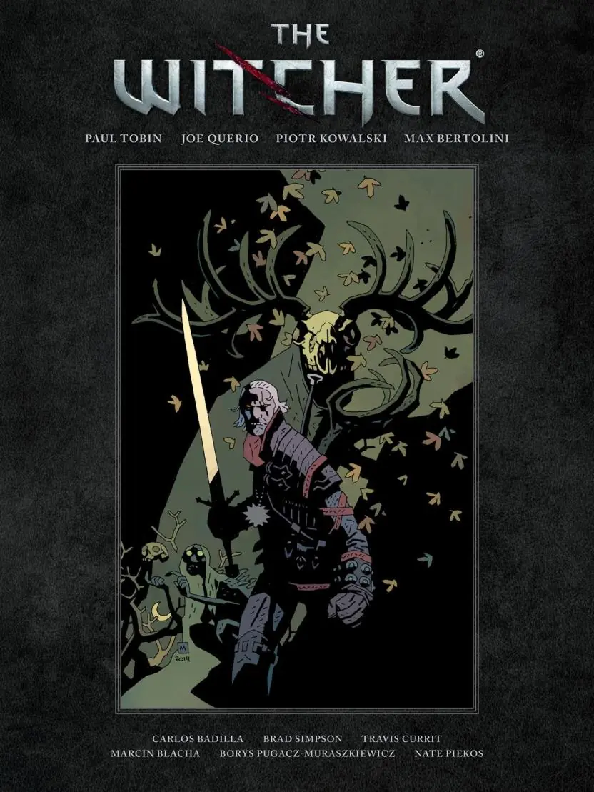 the witcher