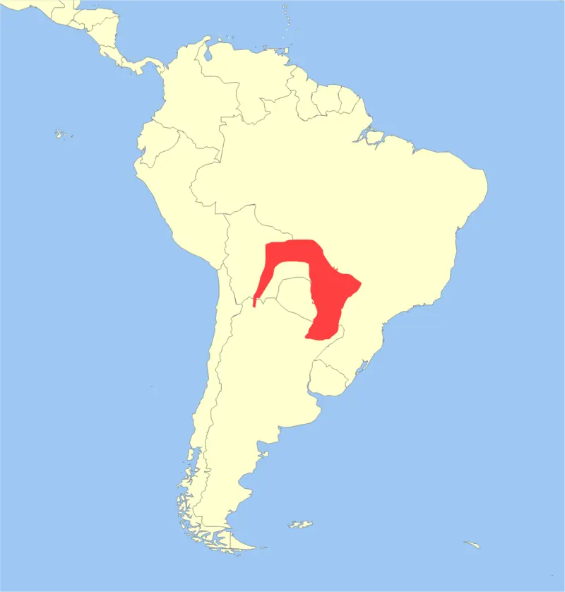salta salta
