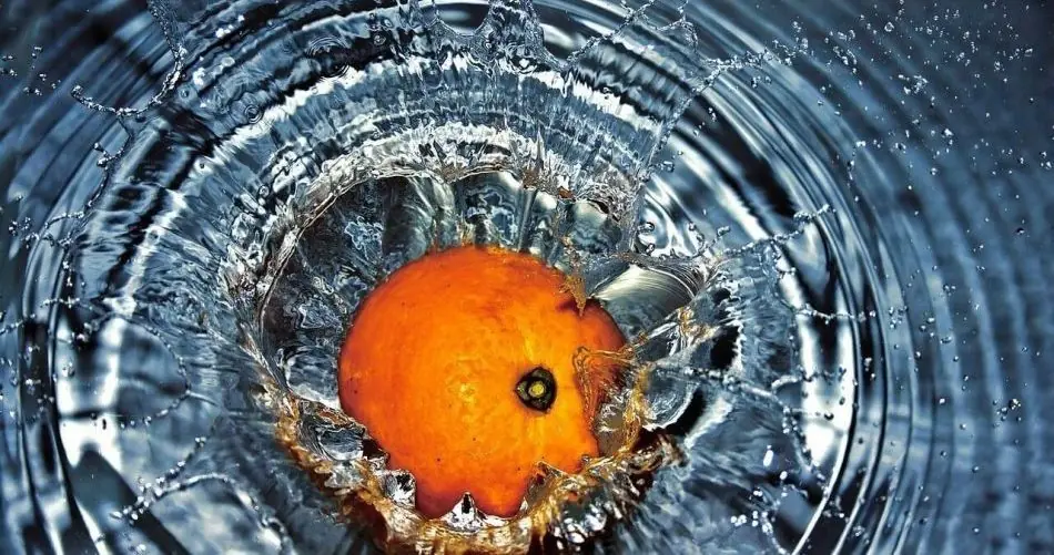 Cómo hacer una fabulosa fotografía con la técnica splash?
