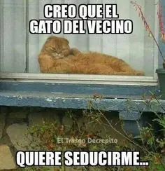 Nocturno