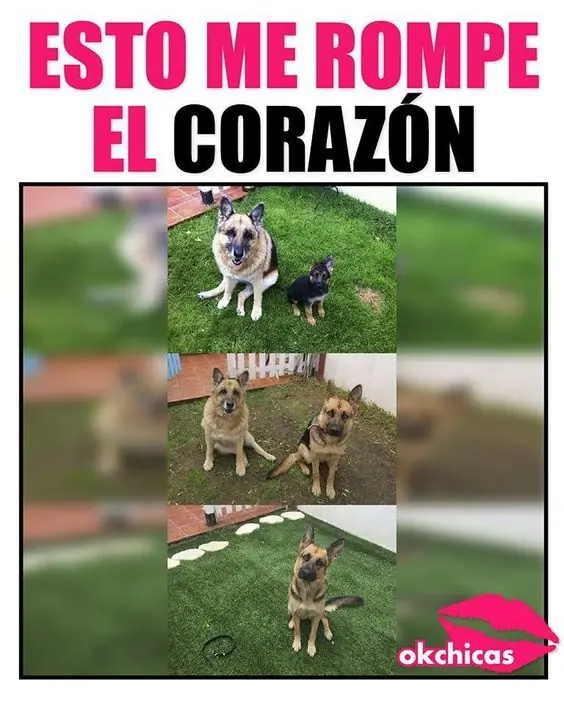 Humor nocturno inolvidable para gozarte de risa esta noche