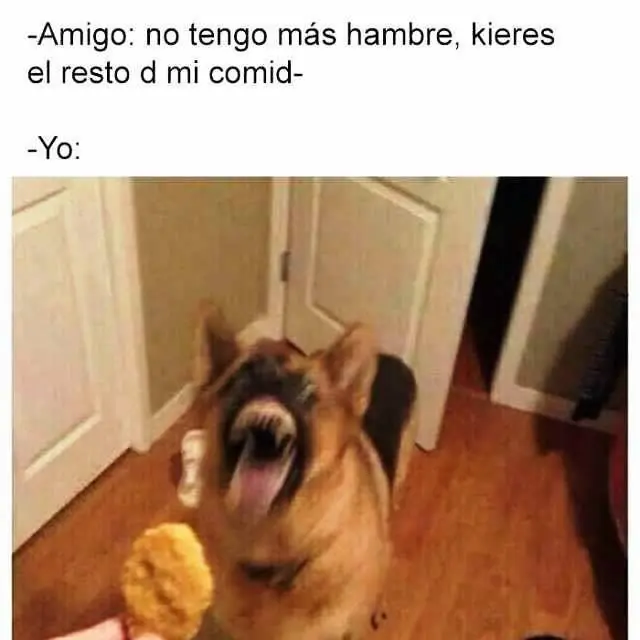 Humor