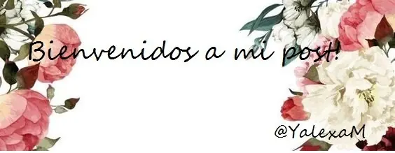 Humor nocturno espectacular para reir hasta que te duermas