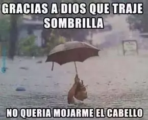 Humor