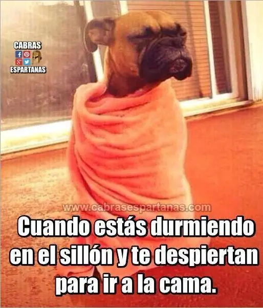 Humor