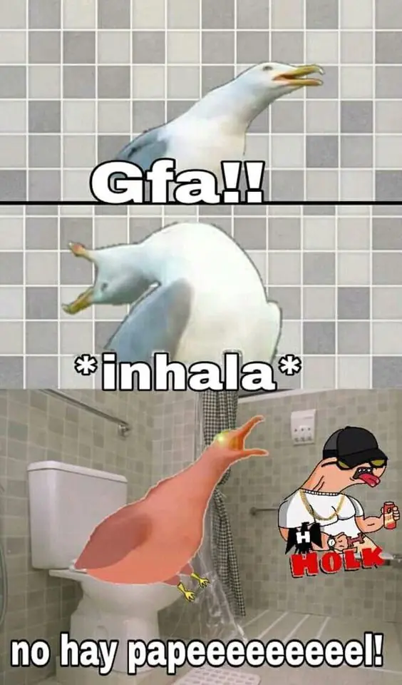 Gozate