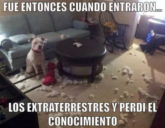 Nocturno