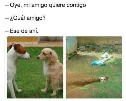 dias