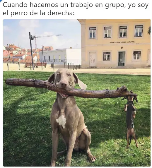 Humor