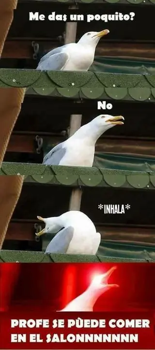 Gozate