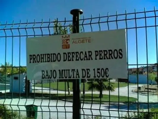 Humor googleado;Google te puede causar un infarto de la risa
