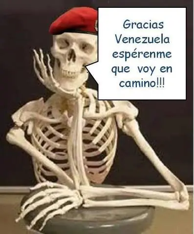 elecciones elecciones