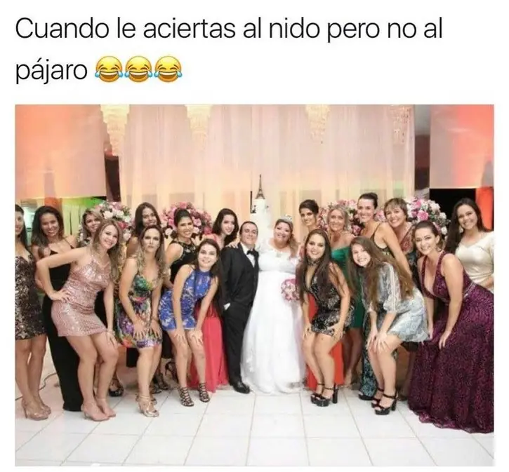 Sucida