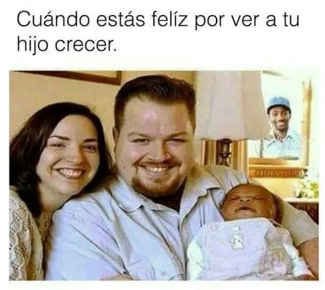Sucida