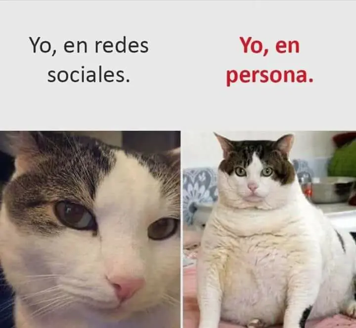 yo que se