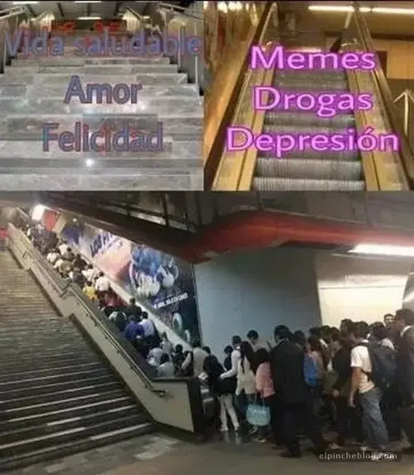 flojos flojos