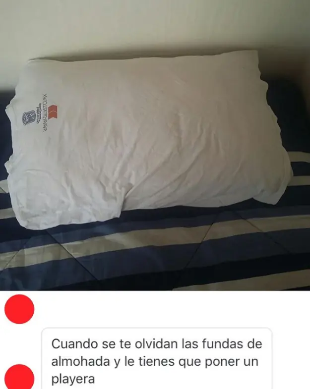 alimentacion