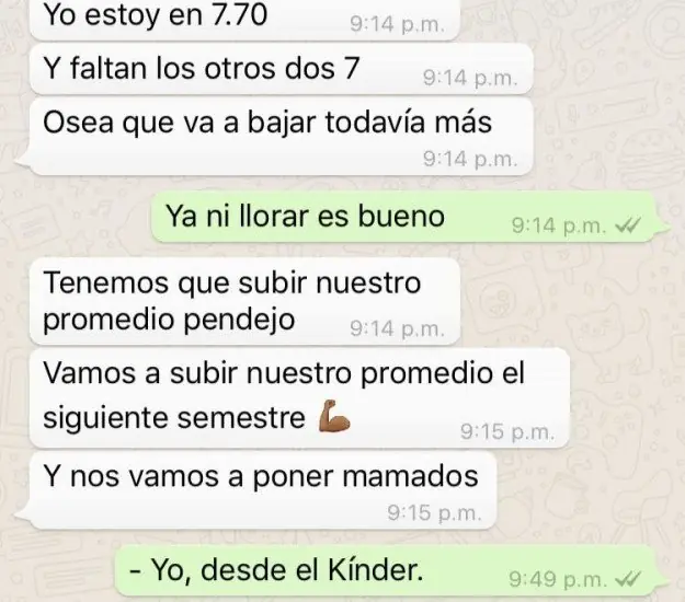 alimentacion