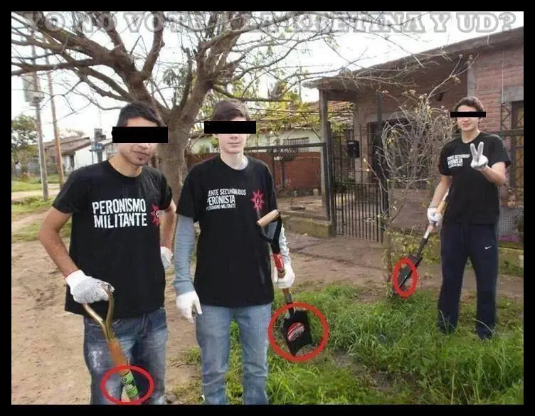 Aumenta significativamente la importacion de palas