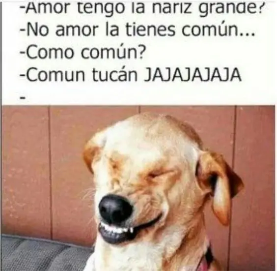 Matutino