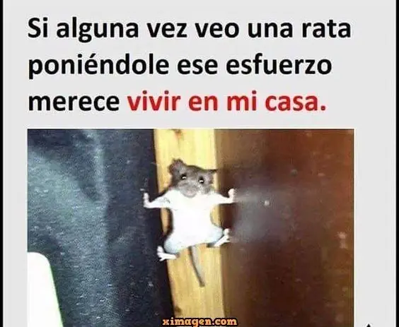 memes 2018