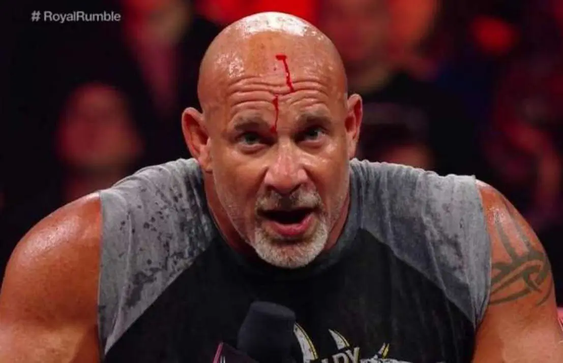 Reglas que los luchadores de WWE tienen que seguir a diario