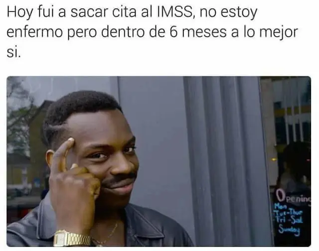 Feminista