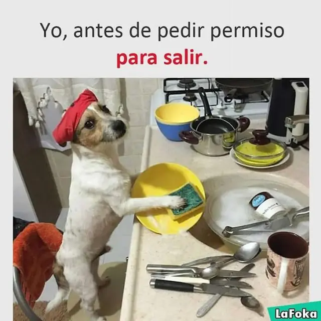Mentales