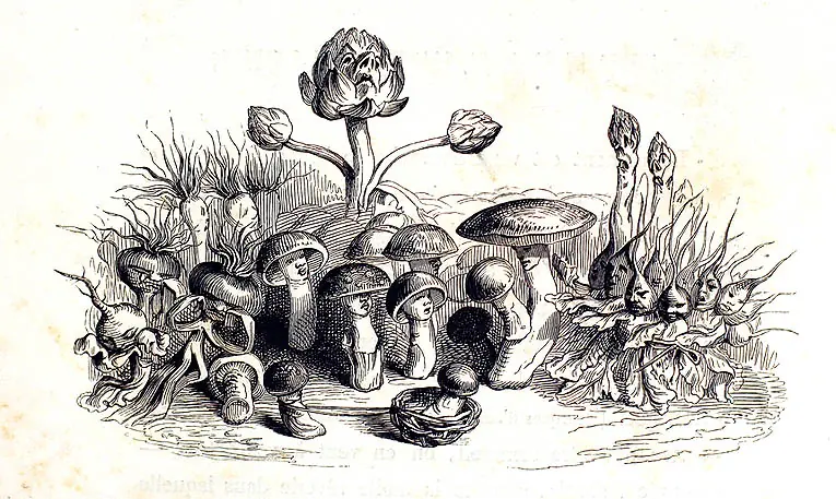 Dibujo