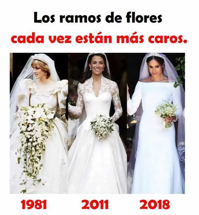 nuevos memes