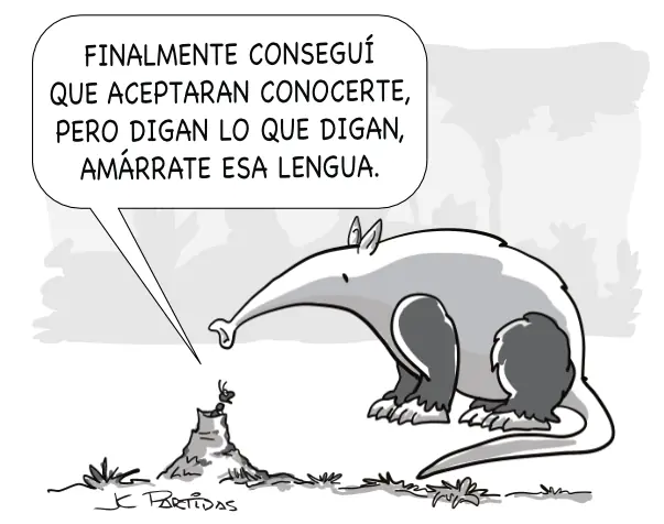 Jueves aburrido te traigo: Humor colorido te alegrara el día