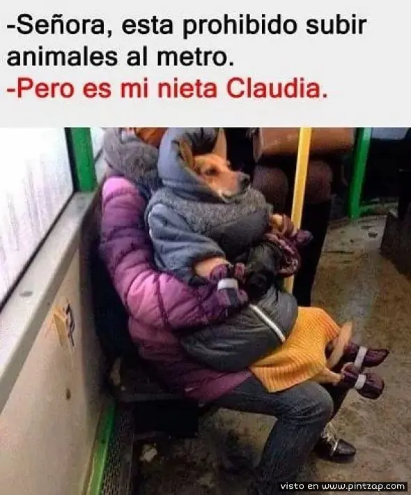 memes 2018