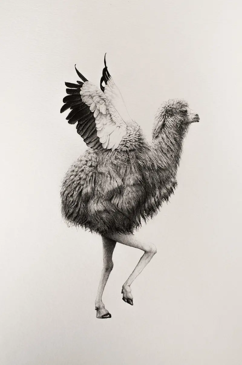Animales