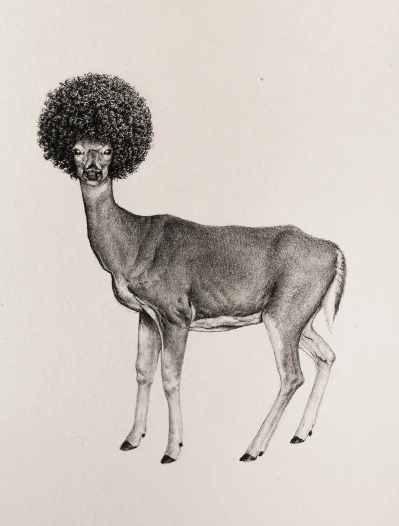 dibujos