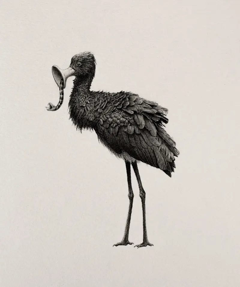 Bestiario de animales improbables