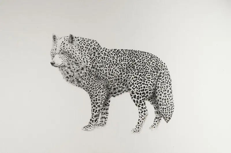 Animales