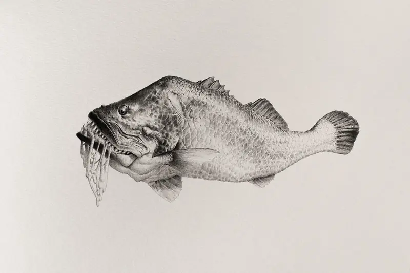 Bestiario de animales improbables