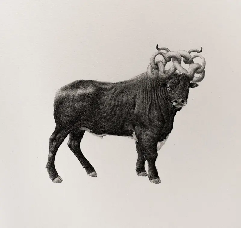 ilustraciones