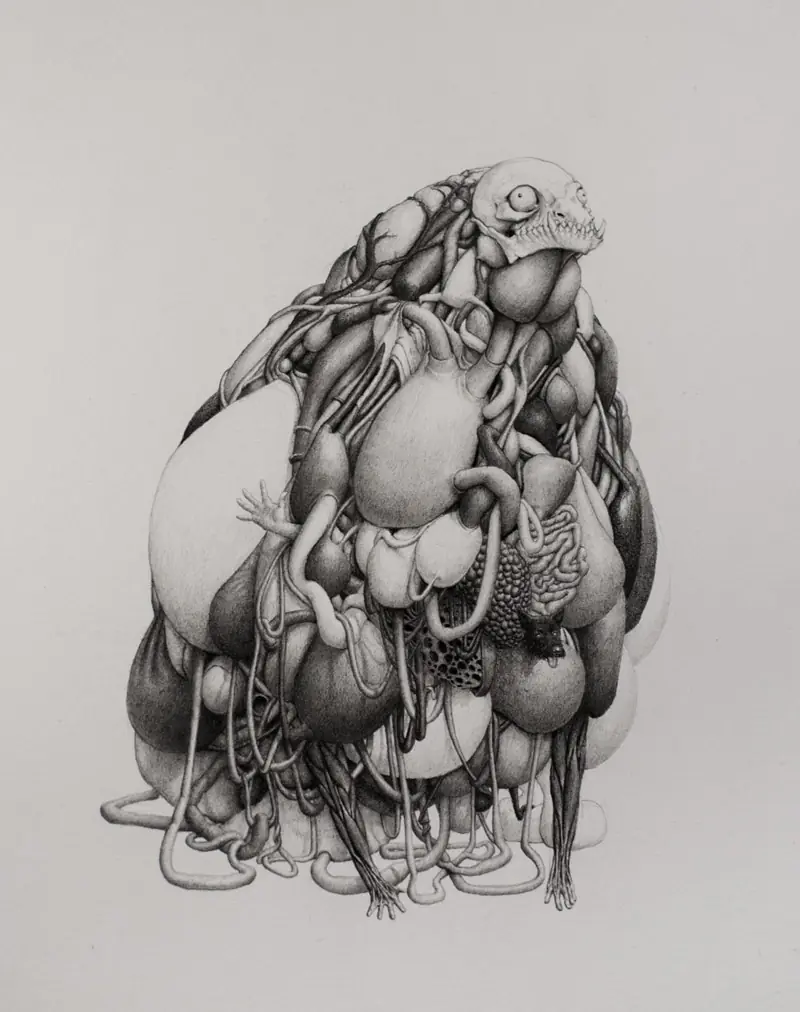 ilustraciones