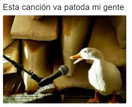 Humor machista: Solo para machos alfa, pásate si lo eres