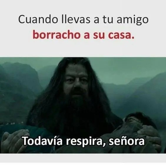 memes de mayo