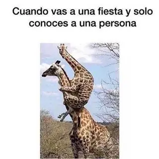 memes de la semana