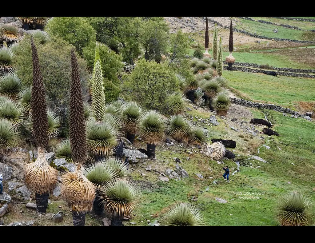 Perú no es solo Machupicchu