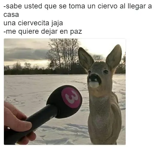 Humor machista: Solo para machos alfa, pásate si lo eres