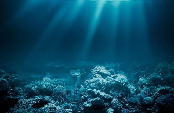 6 Hechos increíbles de los que no somos conscientes