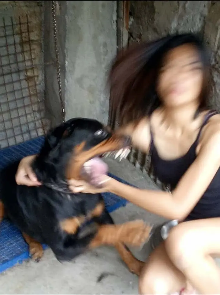 Fotos